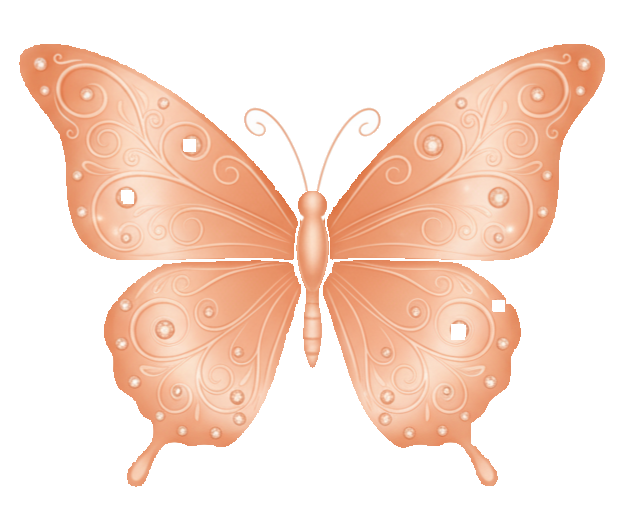 Mariposa